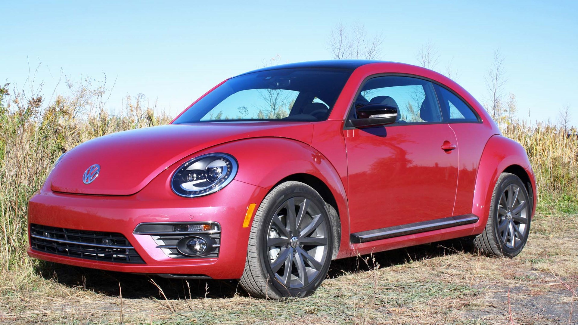 Pink Volkswagen Beetle