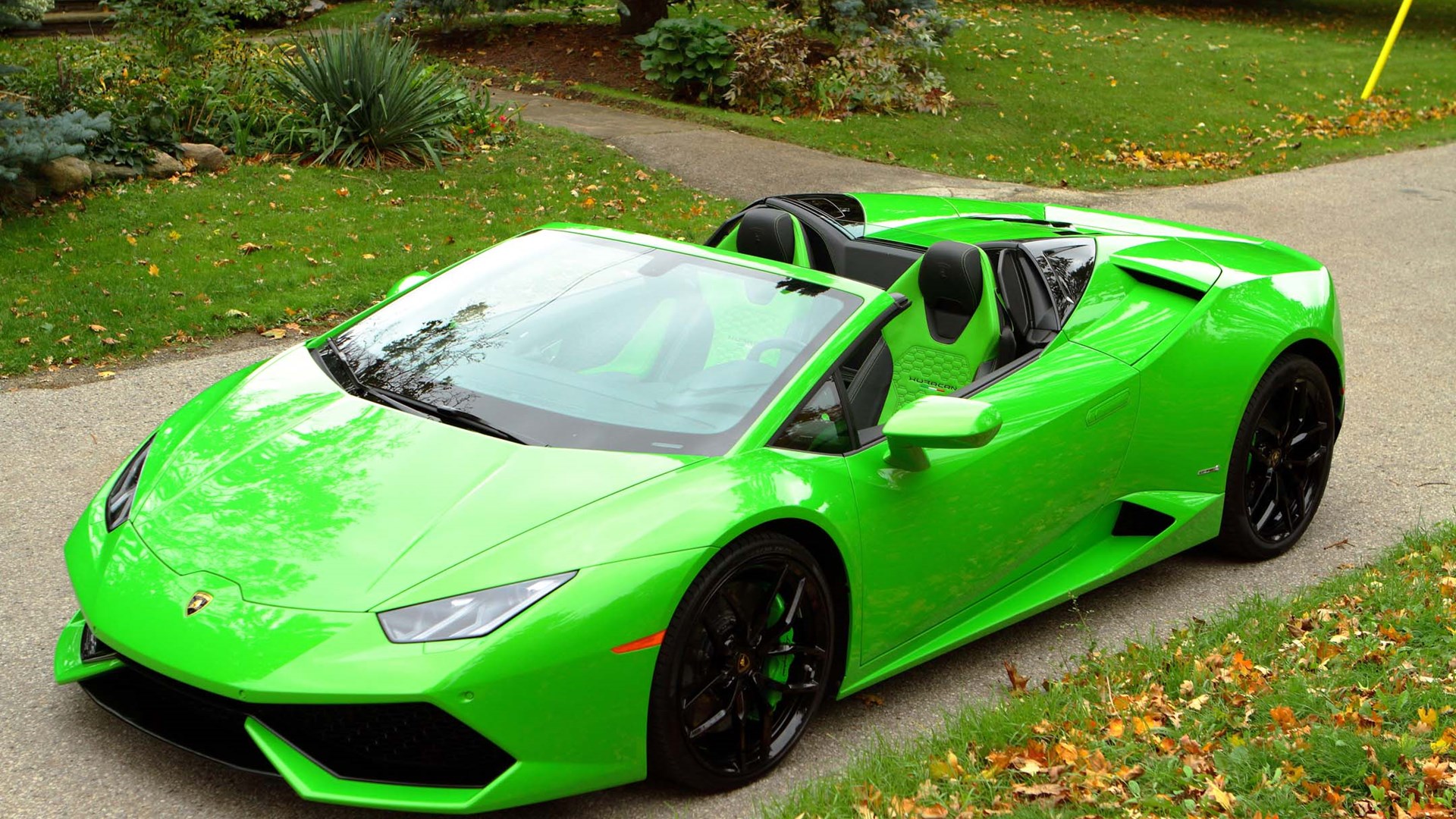 Lamborghini Green Color